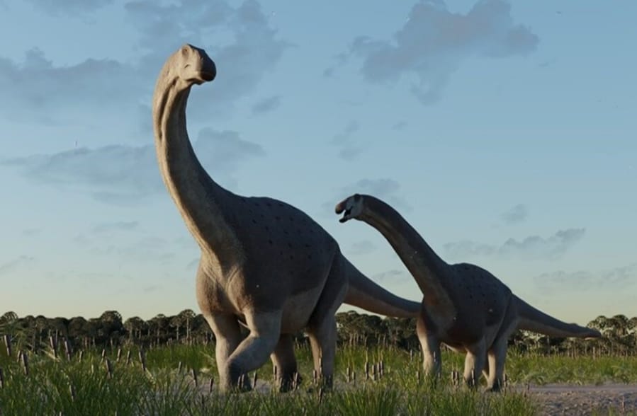 CONICET: Científicos descubrieron restos de un Titanosaurio que vivió hace 66 millones de años.
